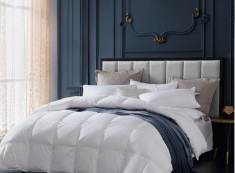 羽絨被行業新動態：創新與挑戰並存